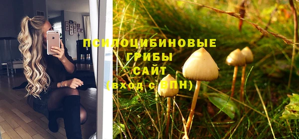 тгк Кулебаки