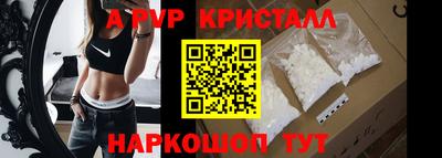 шишки Камышлов