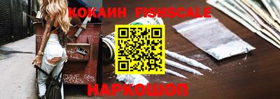 шишки Камышлов