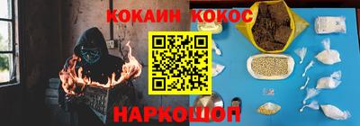 шишки Камышлов