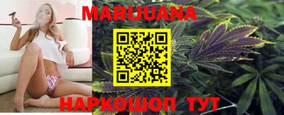 шишки Камышлов