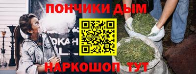шишки Камышлов