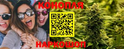 шишки Камышлов