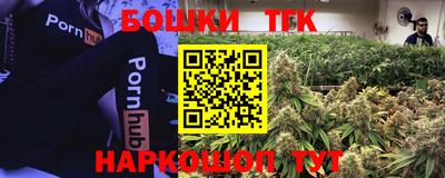 шишки Камышлов