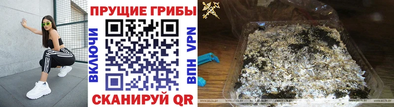 дарнет шоп  Учалы  hydra   Псилоцибиновые грибы мухоморы 