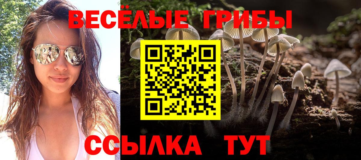 Учалы  Галлюциногенные грибы Psilocybine cubensis  Вход с VPN 