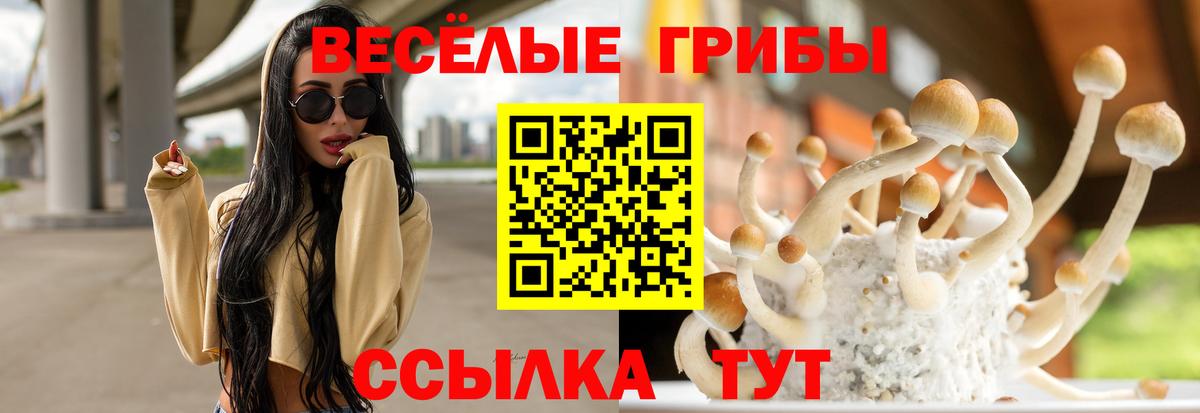 Псилоцибиновые грибы прущие грибы Учалы